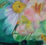 2018_01_60x60cm
