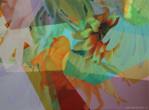 2019_01_100x135cm
