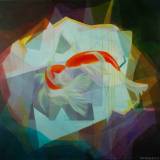 Koi_120x120cm